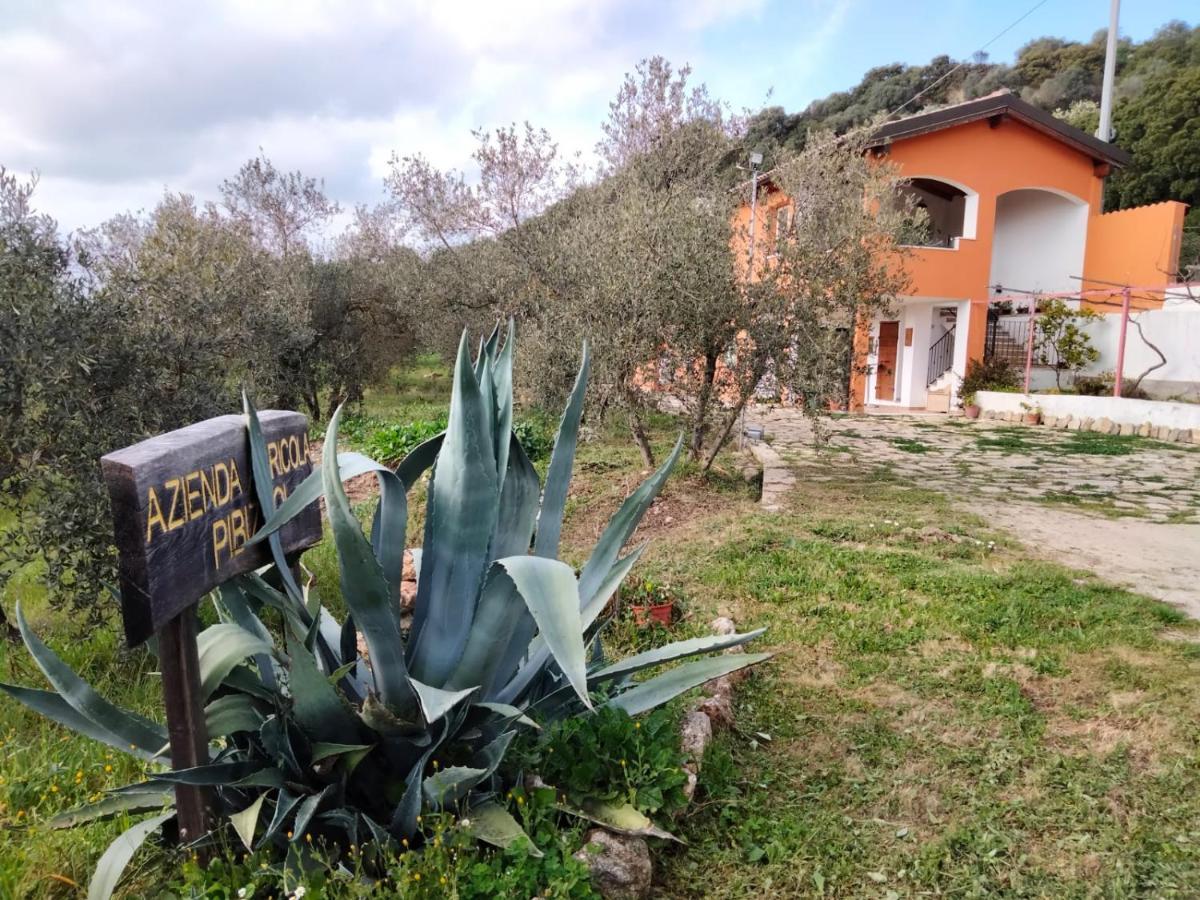 B&B Pibitzoi Nurallào Buitenkant foto