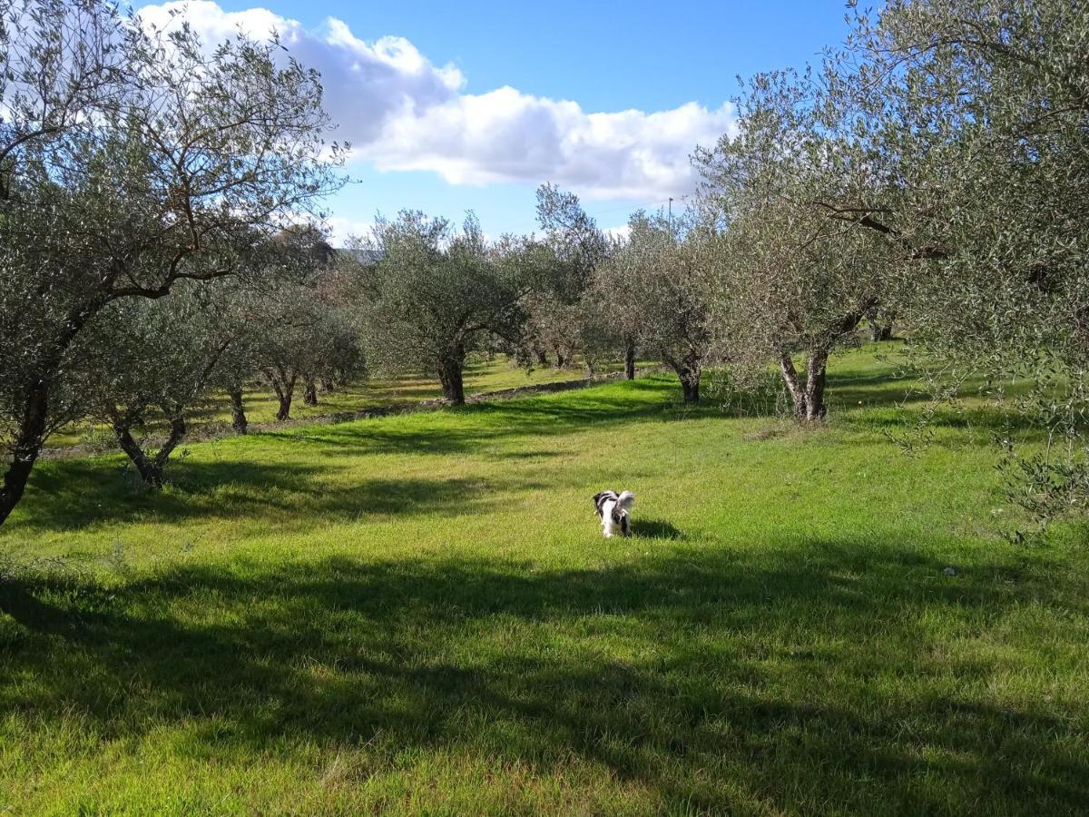 B&B Pibitzoi Nurallào Buitenkant foto