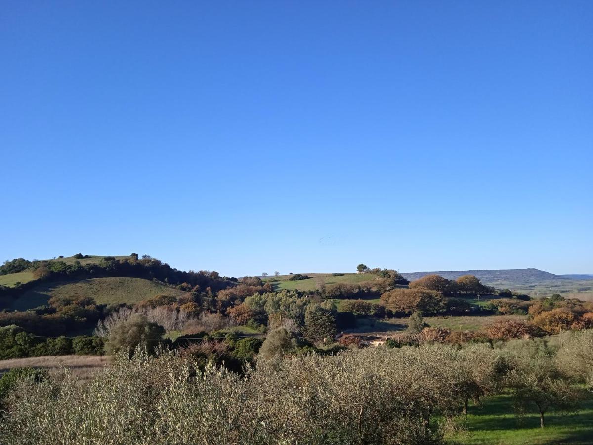 B&B Pibitzoi Nurallào Buitenkant foto