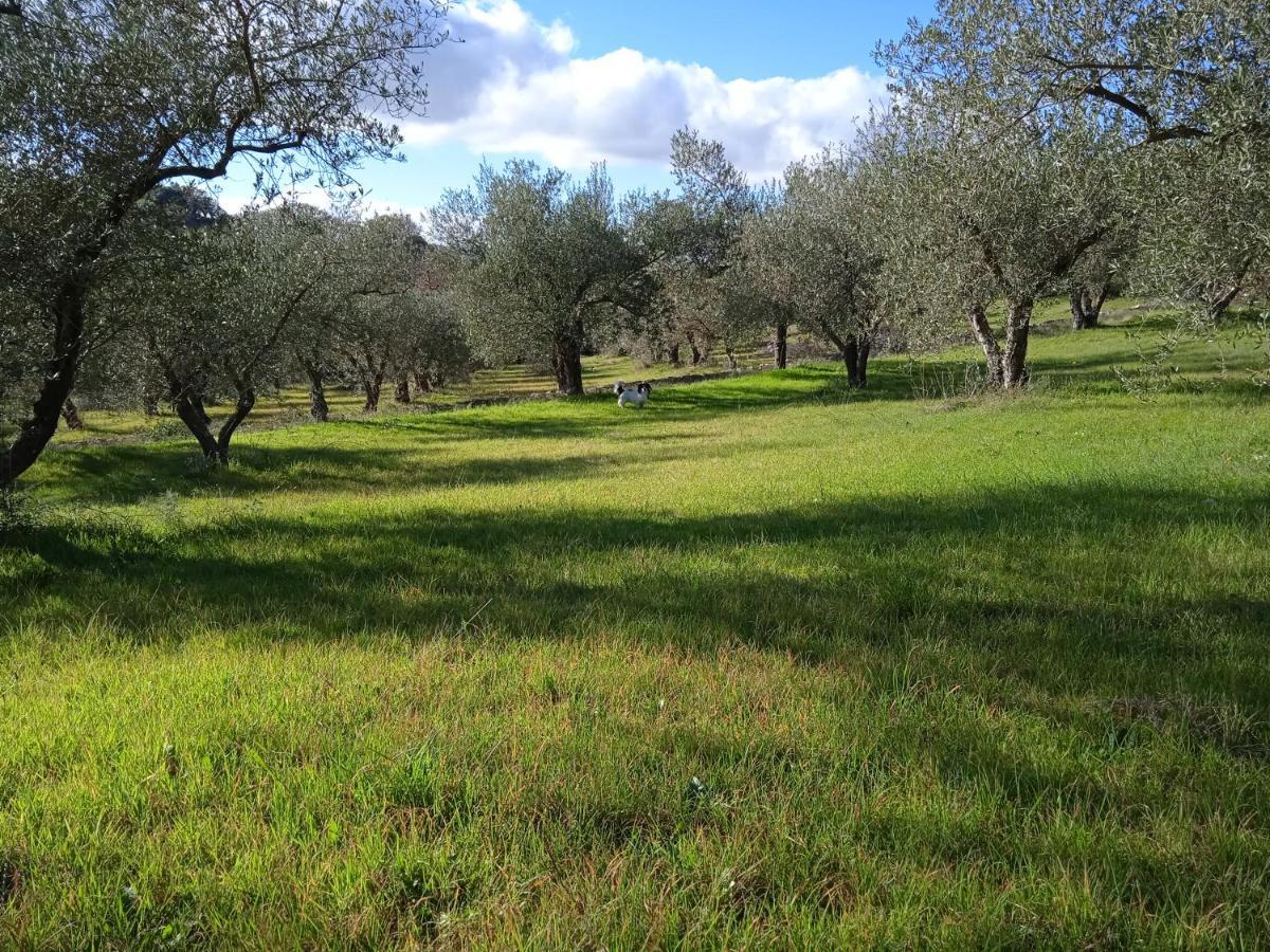 B&B Pibitzoi Nurallào Buitenkant foto